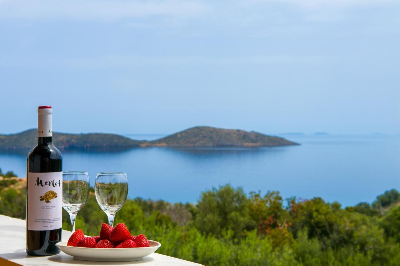 Anemelia * Elounda